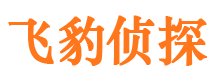 沧州外遇出轨调查取证